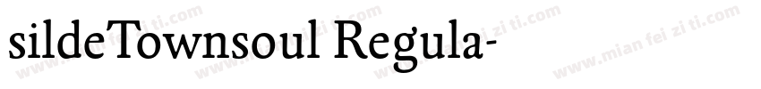 sildeTownsoul Regula字体转换